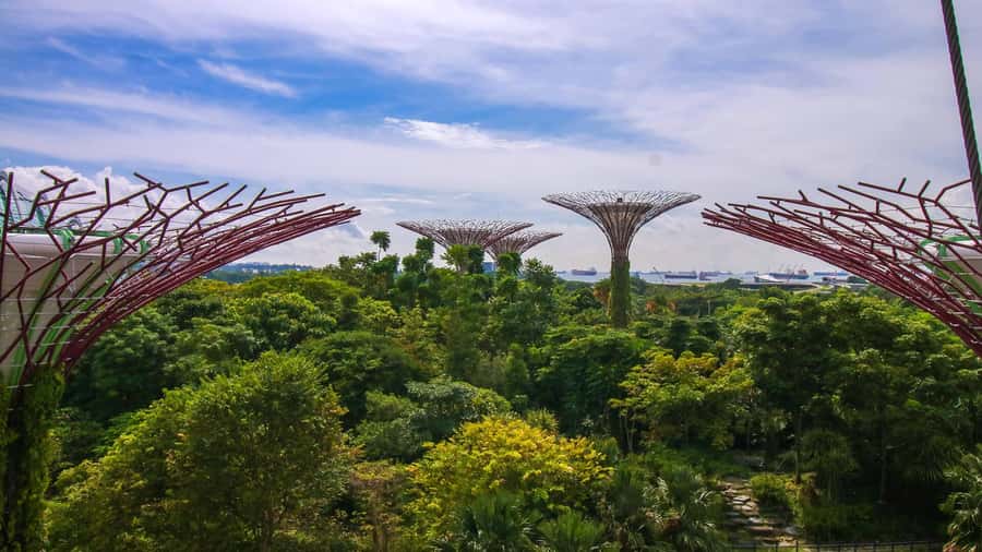 Singapore: Disney Garden of Wonder at Floral Fantasy - Adding the Supertree Observatory