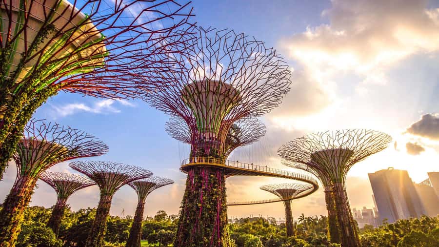 Singapore: Disney Garden of Wonder at Floral Fantasy - Who should book this experience?
