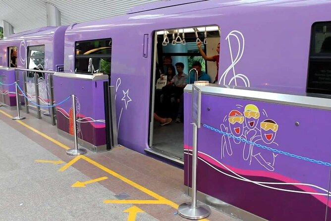 Singapore Ez-link Card (SG Airport Pickup) - Who should use an EZ-Link airport pickup
