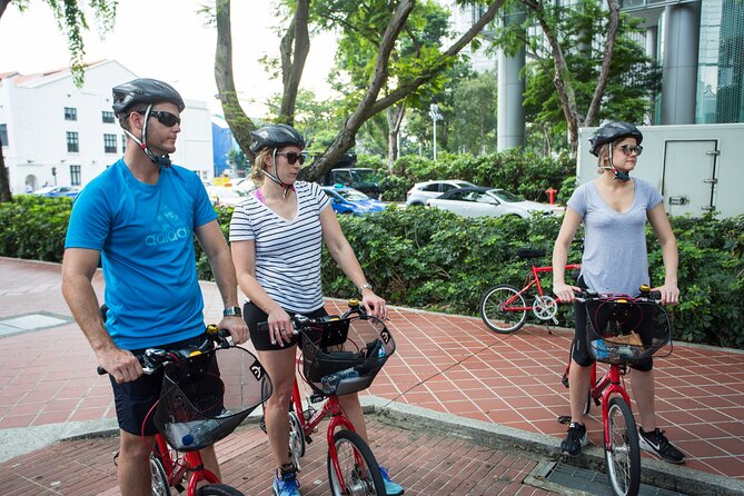 Singapore Full-Day Bike & Food Tour ( Private Tour ) - Key points to know before booking