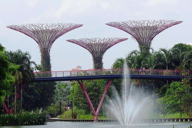 Singapore: Gardens by the Bay Admission E-Ticket - Why Gardens by the Bay is worth your time