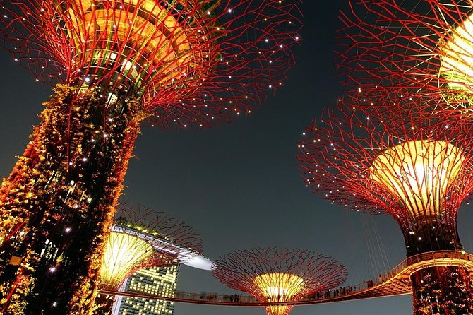 Singapore: Gardens by the Bay Admission E-Ticket - Flower Dome: cool air and changing displays