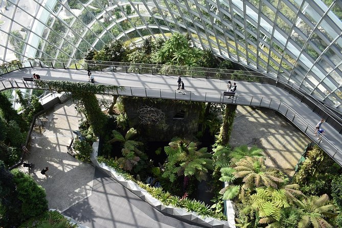 Singapore: Gardens by the Bay Admission E-Ticket - Supertree Observatory and the OCBC Skyway are different