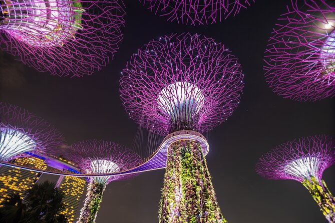 Singapore Gardens by the Bay Admission Skip-The-Line E-Ticket - Supertrees and the extra-cost OCBC Skyway