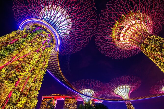 Singapore Gardens by the Bay Admission Skip-The-Line E-Ticket - Who gets the best value from this admission