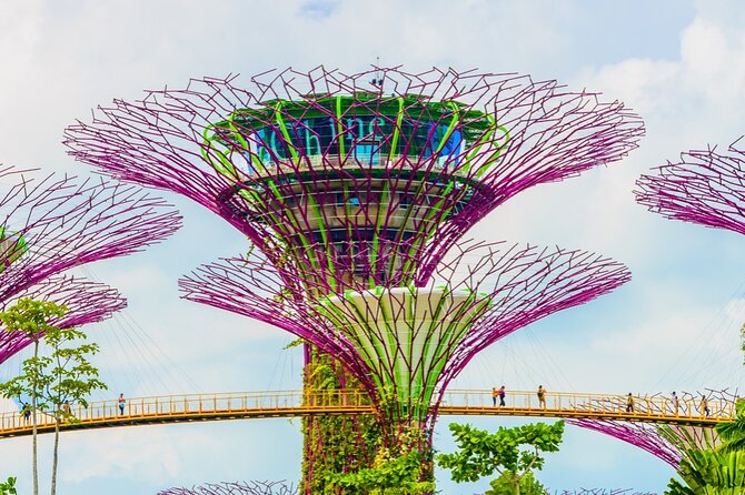 Singapore Gardens by the Bay Admission Skip-The-Line E-Ticket - Flower Dome and the Impressions of Monet display