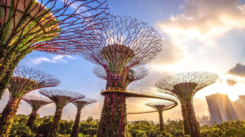 Singapore: Gardens by the Bay Bundle Entry Ticket - Why Gardens by the Bay earns a place on your Singapore plan