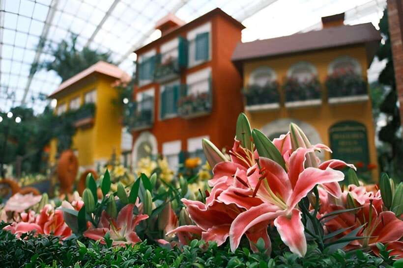 Singapore: Gardens by the Bay Bundle Entry Ticket - How to plan a one-day visit