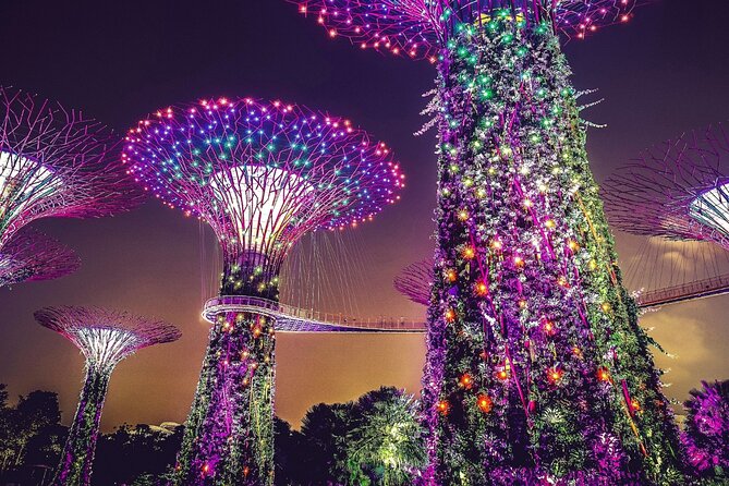 Singapore Gardens by the Bay & Jurassic World with Hotel Pick up - Why this three-hour Gardens by the Bay visit works