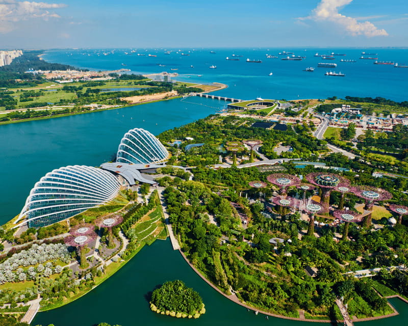 Singapore: Gardens by the Bay & Jurassic World with Pickup - Supertrees and the Garden Rhapsody finale