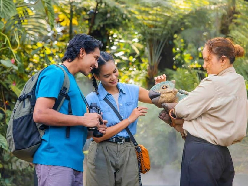 Singapore: Gardens by the Bay & Jurassic World with Pickup - Cloud Forest and the 35-meter waterfall