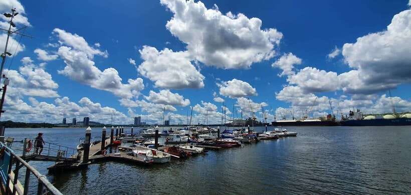 Singapore: Guided Boat Tour and Kelong Fish Farm Visit - Mangroves, seabirds, and the chance of wild boars