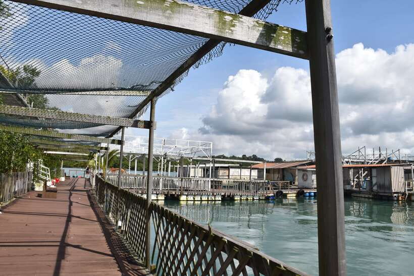 Singapore: Guided Boat Tour and Kelong Fish Farm Visit - Stepping onto a floating kelong fish farm