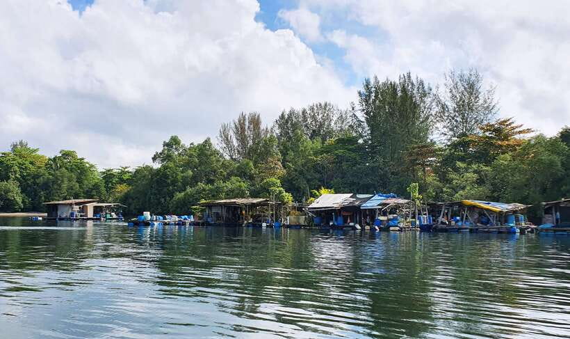 Singapore: Guided Boat Tour and Kelong Fish Farm Visit - Weather, comfort, and practical expectations