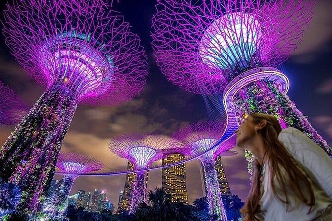 Singapore Guided Night Tour with 2 Light Shows & River Cruise - A fast and useful first night in Singapore