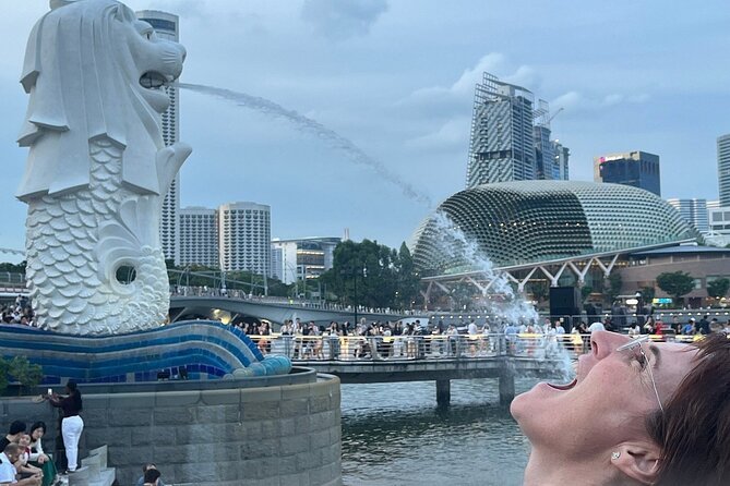 Singapore Guided Night Tour with 2 Light Shows & River Cruise - The guide matters more than the free shows