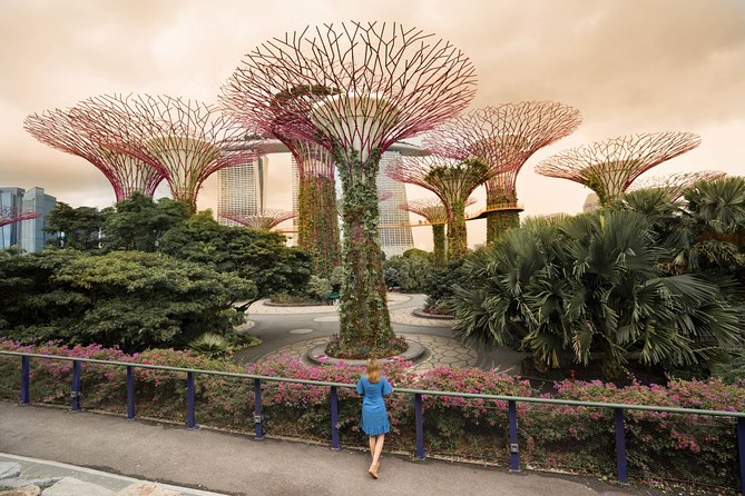 Singapore Instagram Private Walking Tour (Private & All-Inclusive) - Marina Bay and the Helix Bridge