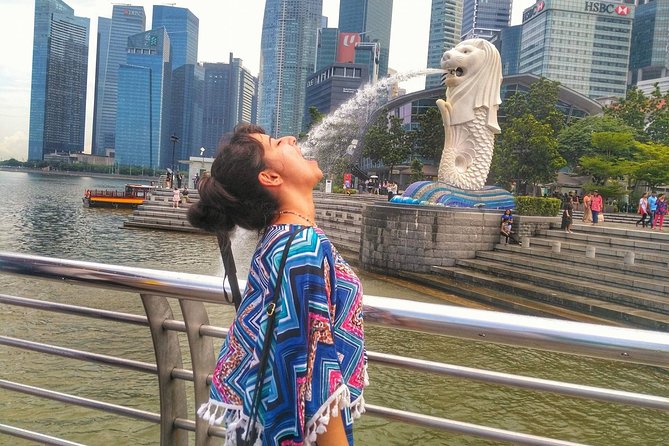Singapore Instagram Tour By Car (Private & All-Inclusive) - Gardens by the Bay in a short visit
