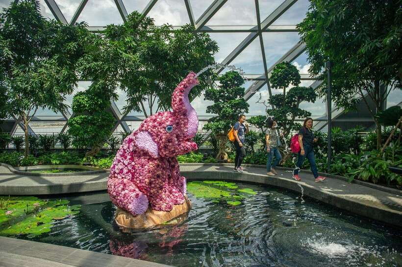 Singapore: Jewel Changi Airport Attraction Ticket - Starting at Canopy Park on Level 5