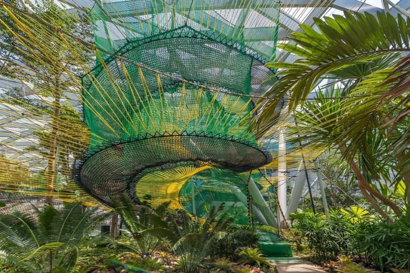 Singapore: Jewel Changi Airport Attraction Ticket - Crossing the Mastercard® Canopy Bridge