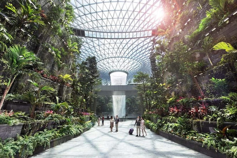 Singapore: Jewel Changi Airport Attraction Ticket - Finding your way through the hedge maze