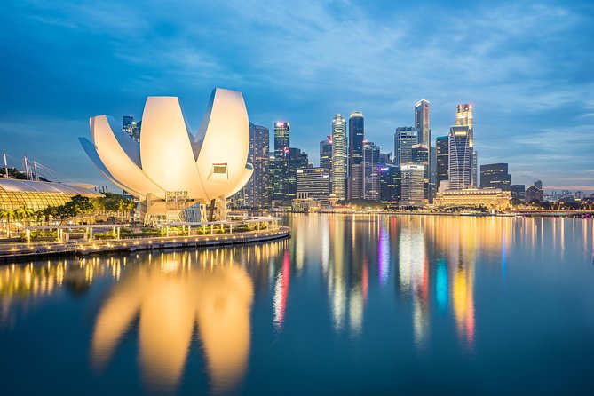 Singapore Layover Tour with a Local: 100% Personalized & Private - Supertree Grove and Gardens by the Bay
