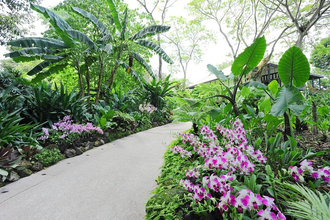 Singapore Morning City Tour - Singapore Botanic Gardens and the National Orchid Garden