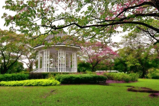 Singapore: National Orchid Garden Admission Ticket - Key points at a glance