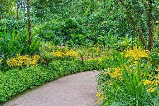 Singapore: National Orchid Garden Admission Ticket - The ticket detail you should not overlook
