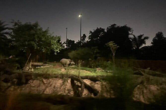 Singapore Night Safari - The five-minute Twilight Performance