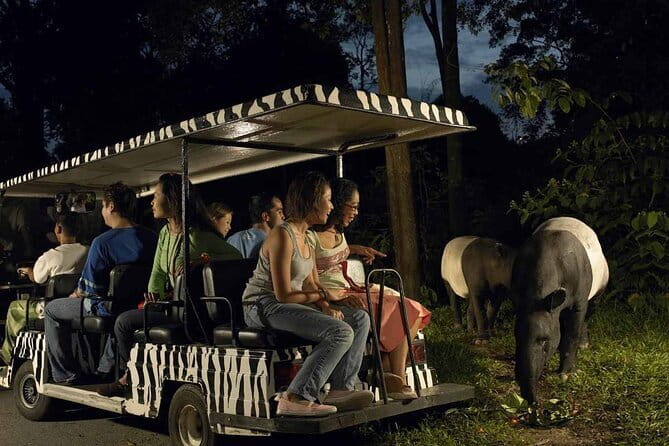 Singapore: Night Safari Entry Ticket - Why Singapore’s Night Safari feels different