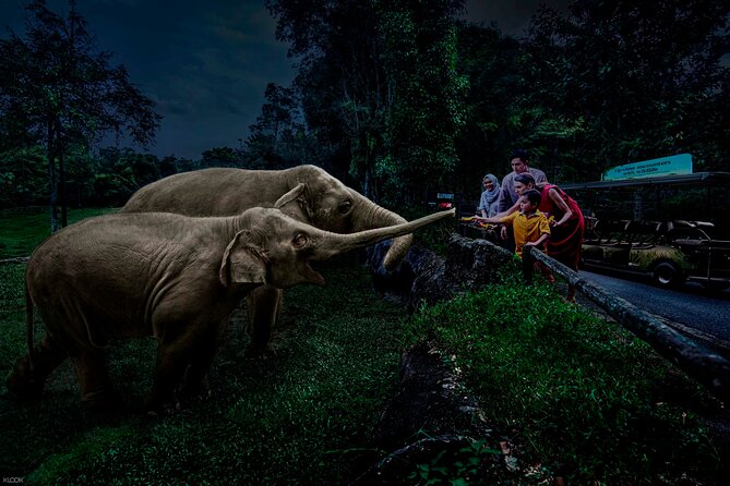 Singapore Night Safari Ticket Experience - Why the Night Safari works best after dark