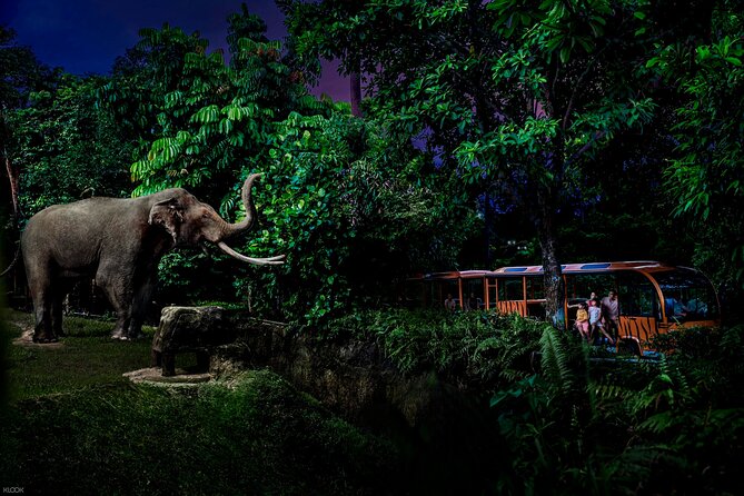 Singapore Night Safari Ticket Experience - The tram ride through six geographical zones