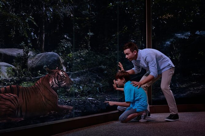 Singapore Night Safari Ticket Experience - The Creatures of the Night Show