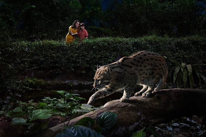 Singapore Night Safari Ticket Experience - Timing, transport, and the fixed booking rules