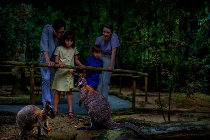 Singapore Night Safari Ticket Experience - Who will enjoy this evening most