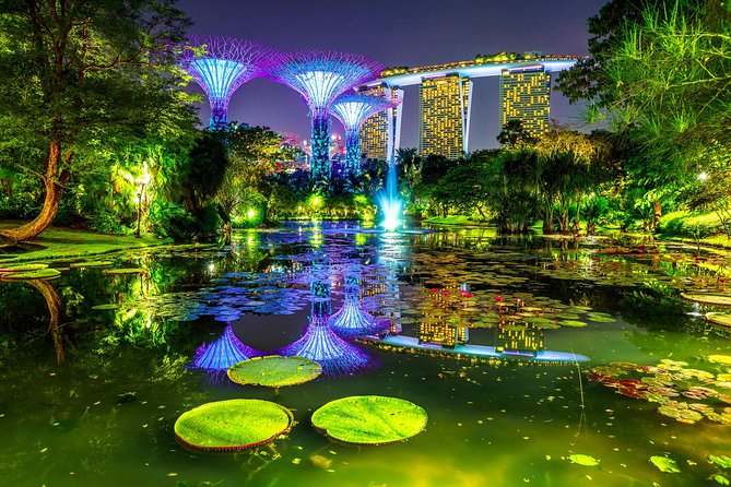 Singapore Night Tour with a Local: Private & 100% Personalized - Who will get the most from this experience