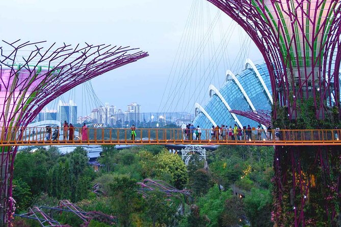 Singapore OCBC Skyway Flower dome Cloud Forest Garden by the Bay - Why this Gardens by the Bay package works