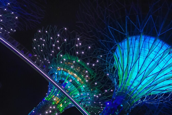 Singapore OCBC Skyway Flower dome Cloud Forest Garden by the Bay - Cloud Forest: Singapore’s most dramatic indoor attraction