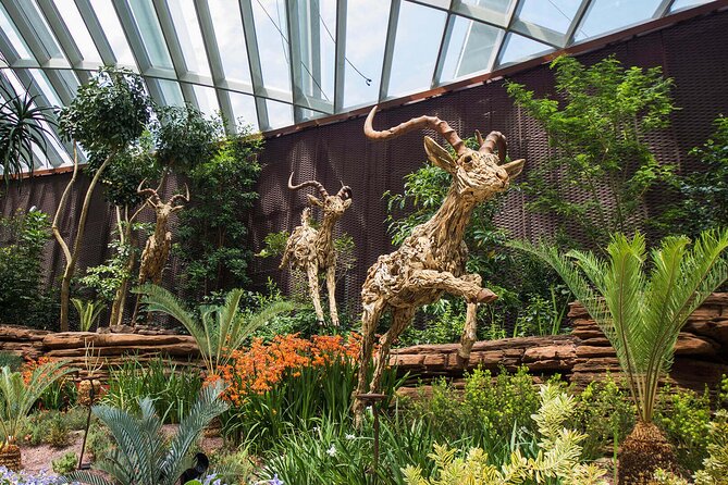 Singapore OCBC Skyway Flower dome Cloud Forest Garden by the Bay - Flower Dome: a cool walk through nine garden zones