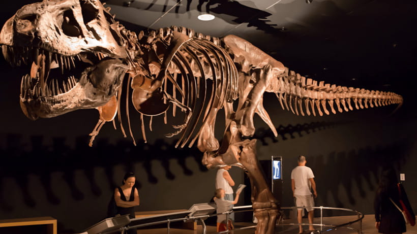 Singapore: Omni Theatre IMAX Show Admission Ticket - Key points to know before you go