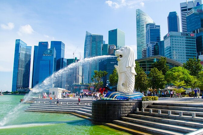 Singapore Panoramic Sightseeing Private Tour with River Cruise - Chinatown, temples, and street food