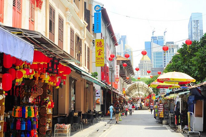 Singapore Panoramic Sightseeing Private Tour with River Cruise - What the private format is worth at $145
