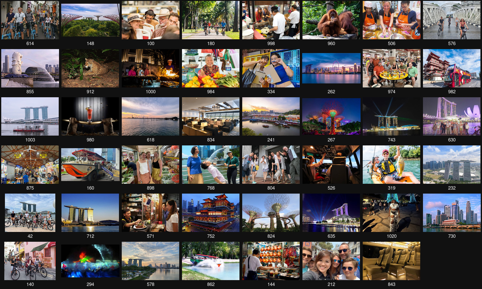 Singapore: Pass Save up to 50% - Includes Universal Studios - Start with Gardens by the Bay