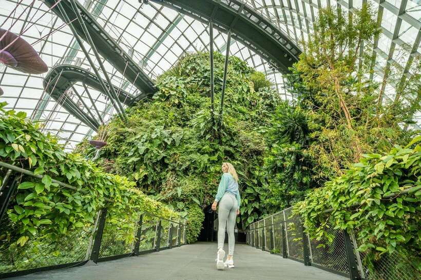 Singapore Photography: Marina Bay Sands & Gardens by the Bay - Ending beside the ponds