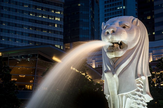 Singapore Photography Masterclass - Private Photography Lesson - Gardens by the Bay and Supertree Grove after dark