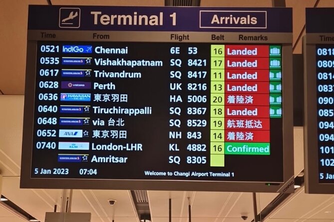 Singapore: Private Airport/Seaport Meet&Greet → Downtown/Sentosa - Vehicle choice and space for luggage