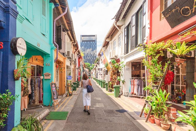 Singapore Private Custom Full-Day Tour with Licensed Local Guide - Your guide is the main reason to book