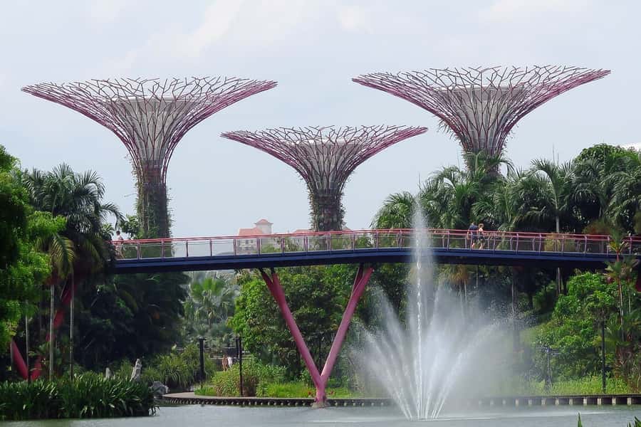 Singapore: Private Customizable Singapore Tour - Is $78 per person good value?