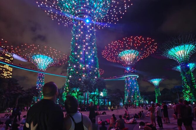 Singapore Private Customized City Tour with Driver - Gardens by the Bay is worth giving proper time